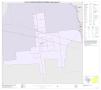 Primary view of P.L. 94-171 County Block Map (2010 Census): Fannin County, Inset E01