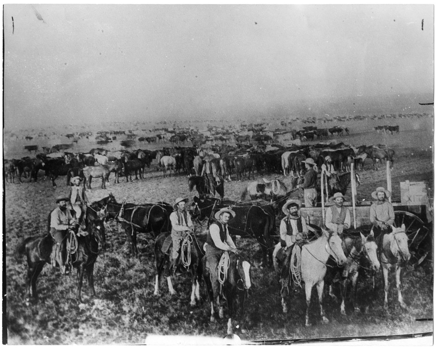 [XIT Ranch, ca. 1881]
                                                
                                                    [Sequence #]: 1 of 1
                                                