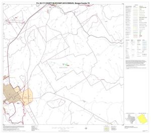 P.L. 94-171 County Block Map (2010 Census): Bosque County, Block 13