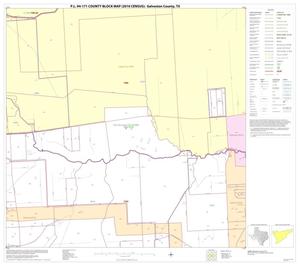 P.L. 94-171 County Block Map (2010 Census): Galveston County, Block 23