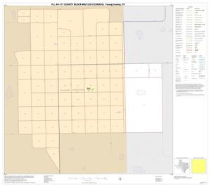 P.L. 94-171 County Block Map (2010 Census): Young County, Inset B01