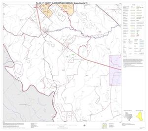 P.L. 94-171 County Block Map (2010 Census): Brazos County, Block 15