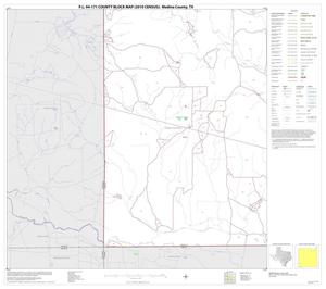 P.L. 94-171 County Block Map (2010 Census): Medina County, Block 21