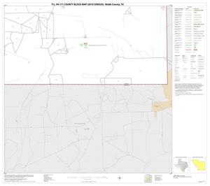 P.L. 94-171 County Block Map (2010 Census): Webb County, Block 58