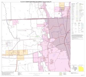 P.L. 94-171 County Block Map (2010 Census): Grayson County, Block 14