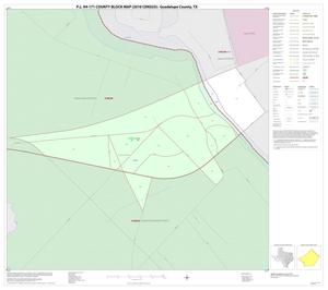 P.L. 94-171 County Block Map (2010 Census): Guadalupe County, Inset E01