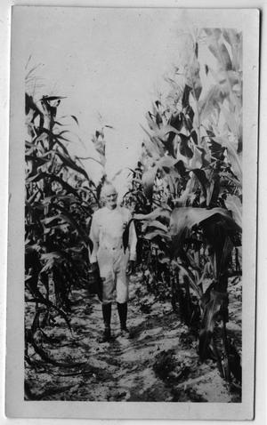 [Man standing in corn field]