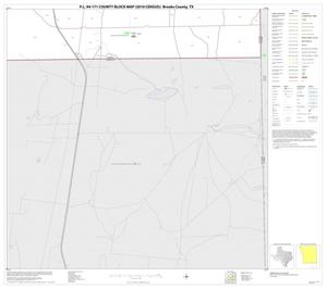 P.L. 94-171 County Block Map (2010 Census): Brooks County, Block 13