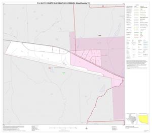 Primary view of object titled 'P.L. 94-171 County Block Map (2010 Census): Wood County, Inset E01'.