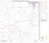 Primary view of P.L. 94-171 County Block Map (2010 Census): Jasper County, Block 13