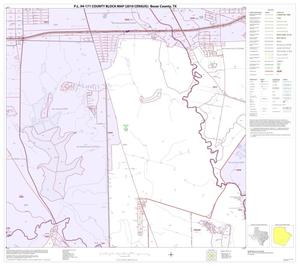P.L. 94-171 County Block Map (2010 Census): Bexar County, Block 52