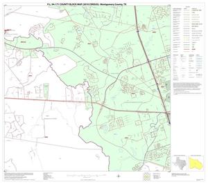 P.L. 94-171 County Block Map (2010 Census): Montgomery County, Block 21