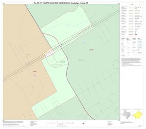 P.L. 94-171 County Block Map (2010 Census): Guadalupe County, Inset A01