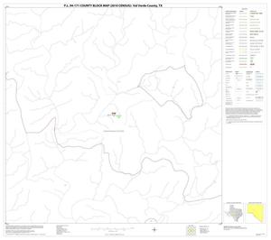 P.L. 94-171 County Block Map (2010 Census): Val Verde County, Block 35