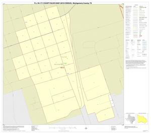 P.L. 94-171 County Block Map (2010 Census): Montgomery County, Inset B01
