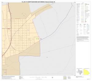 P.L. 94-171 County Block Map (2010 Census): Atascosa County, Inset E03