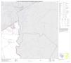 Map: P.L. 94-171 County Block Map (2010 Census): Robertson County, Block 2