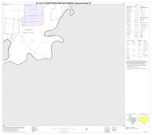 P.L. 94-171 County Block Map (2010 Census): Cameron County, Block 65
