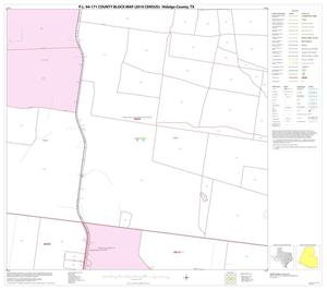 P.L. 94-171 County Block Map (2010 Census): Hidalgo County, Block 43