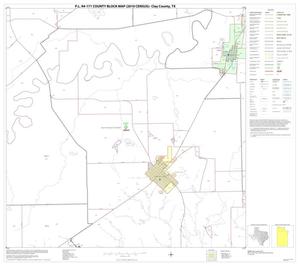 P.L. 94-171 County Block Map (2010 Census): Clay County, Block 5