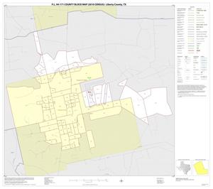 P.L. 94-171 County Block Map (2010 Census): Liberty County, Inset D01