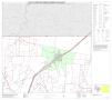 Map: P.L. 94-171 County Block Map (2010 Census): Frio County, Block 3