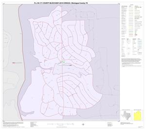 P.L. 94-171 County Block Map (2010 Census): Montague County, Inset C01