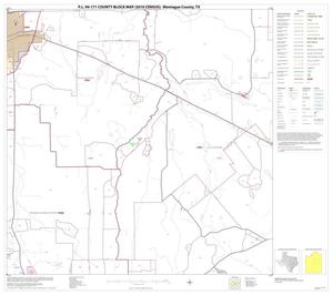P.L. 94-171 County Block Map (2010 Census): Montague County, Block 9