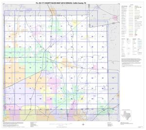 P.L. 94-171 County Block Map (2010 Census): Collin County, Index
