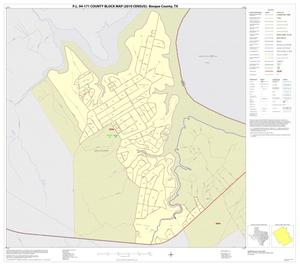 P.L. 94-171 County Block Map (2010 Census): Bosque County, Inset G01