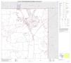 Map: P.L. 94-171 County Block Map (2010 Census): Coke County, Block 4