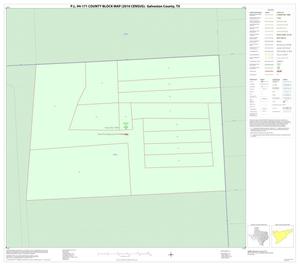 Primary view of object titled 'P.L. 94-171 County Block Map (2010 Census): Galveston County, Inset A01'.