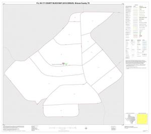 P.L. 94-171 County Block Map (2010 Census): Briscoe County, Inset A01
