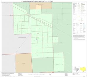 P.L. 94-171 County Block Map (2010 Census): Cameron County, Inset A01