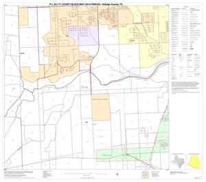 P.L. 94-171 County Block Map (2010 Census): Hidalgo County, Block 109