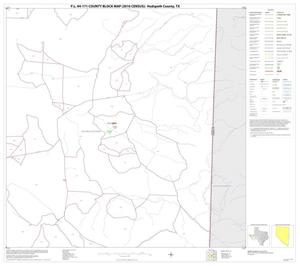 P.L. 94-171 County Block Map (2010 Census): Hudspeth County, Block 20