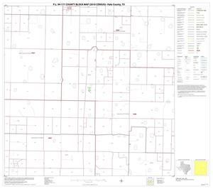 P.L. 94-171 County Block Map (2010 Census): Hale County, Block 11