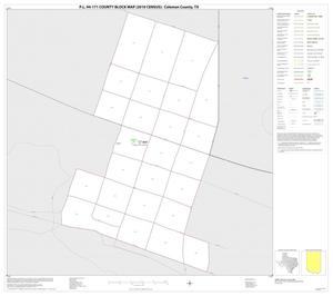 P.L. 94-171 County Block Map (2010 Census): Coleman County, Inset E01