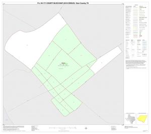 P.L. 94-171 County Block Map (2010 Census): Starr County, Inset A01