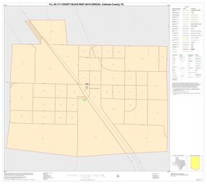 P.L. 94-171 County Block Map (2010 Census): Coleman County, Inset A01