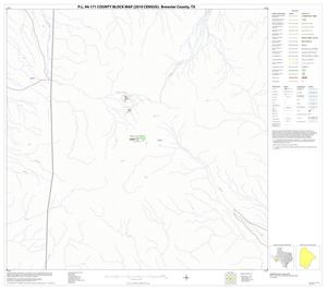 P.L. 94-171 County Block Map (2010 Census): Brewster County, Block 91