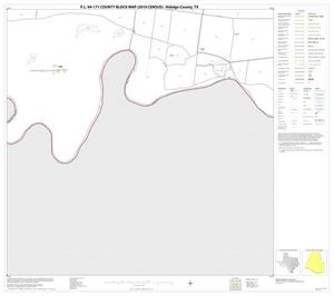 P.L. 94-171 County Block Map (2010 Census): Hidalgo County, Block 114