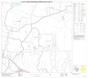 P.L. 94-171 County Block Map (2010 Census): Bastrop County, Block 19