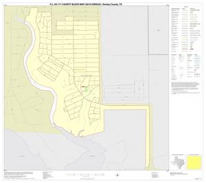 Primary view of object titled 'P.L. 94-171 County Block Map (2010 Census): Donley County, Inset A01'.
