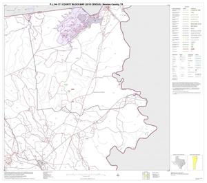 Primary view of object titled 'P.L. 94-171 County Block Map (2010 Census): Newton County, Block 3'.