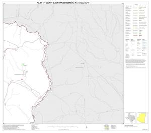 Primary view of object titled 'P.L. 94-171 County Block Map (2010 Census): Terrell County, Block 4'.