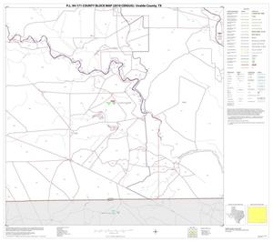 Primary view of object titled 'P.L. 94-171 County Block Map (2010 Census): Uvalde County, Block 29'.