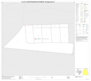 Primary view of object titled 'P.L. 94-171 County Block Map (2010 Census): Jim Hogg County, Inset C01'.