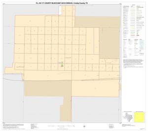 Primary view of object titled 'P.L. 94-171 County Block Map (2010 Census): Crosby County, Inset A01'.