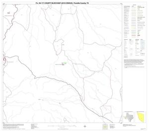 P.L. 94-171 County Block Map (2010 Census): Presidio County, Block 49